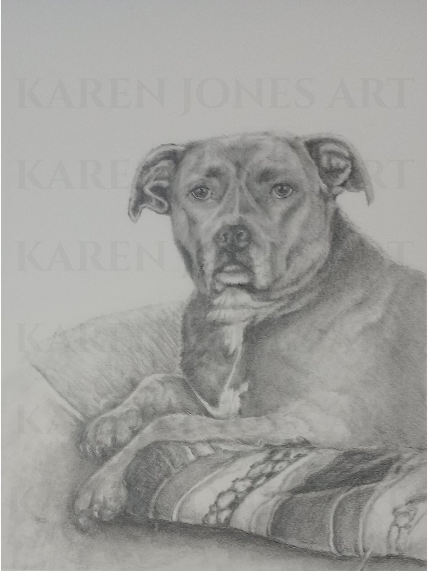 9x12 inch Custom Pet Portrait Pencil Drawing