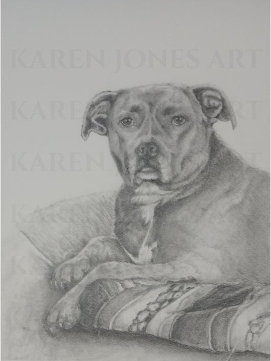 12x16 inch Custom Pet Portrait in Graphite