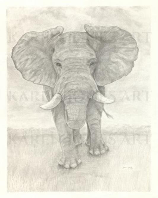 16x20 Elephant Print