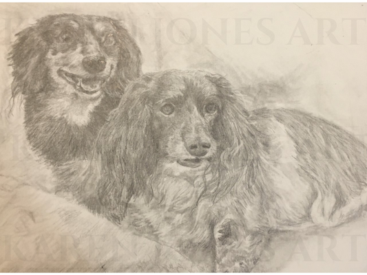 9x12 inch Custom Pet Portrait Pencil Drawing