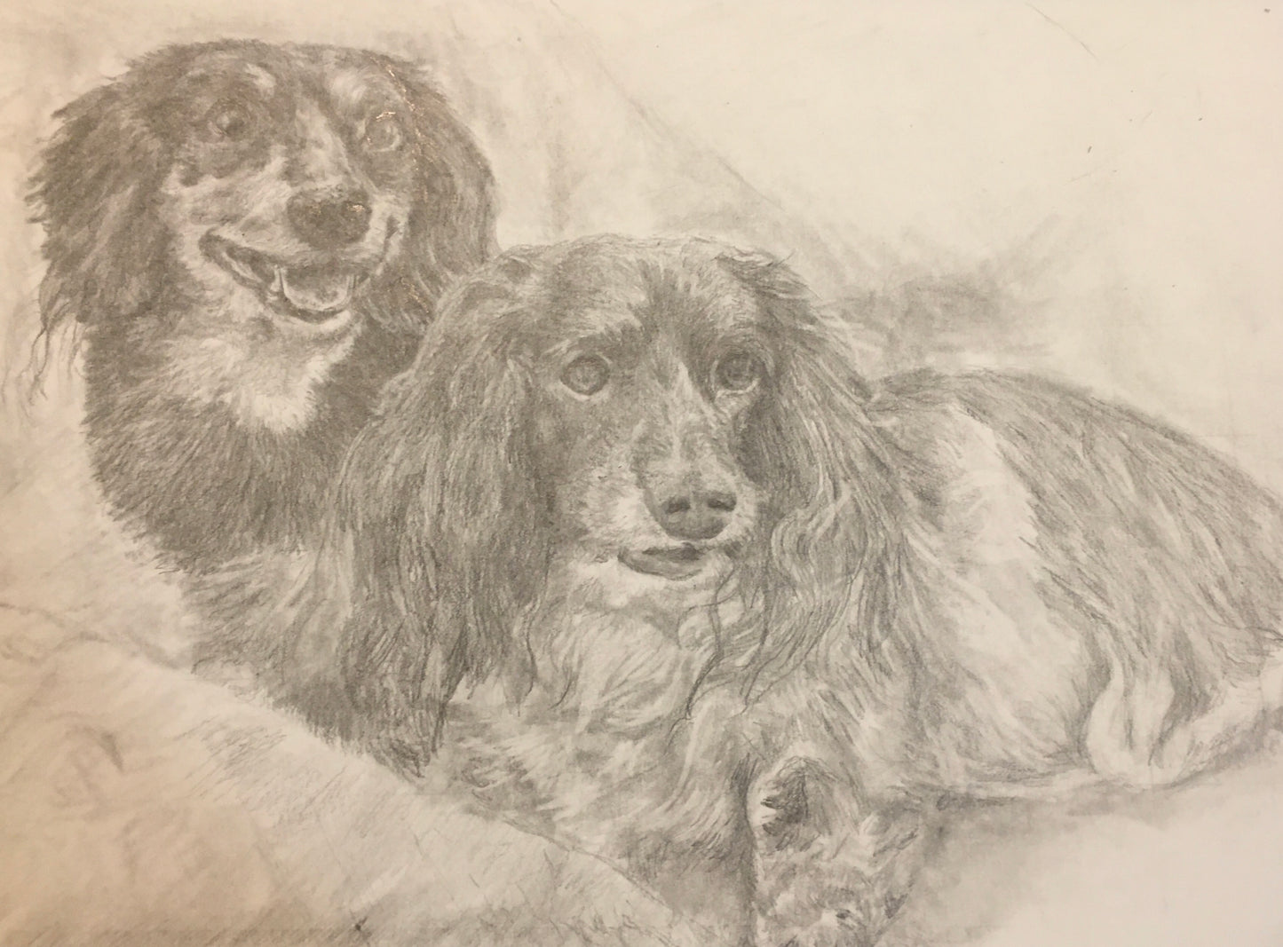 9x12 inch Custom Pet Portrait Pencil Drawing