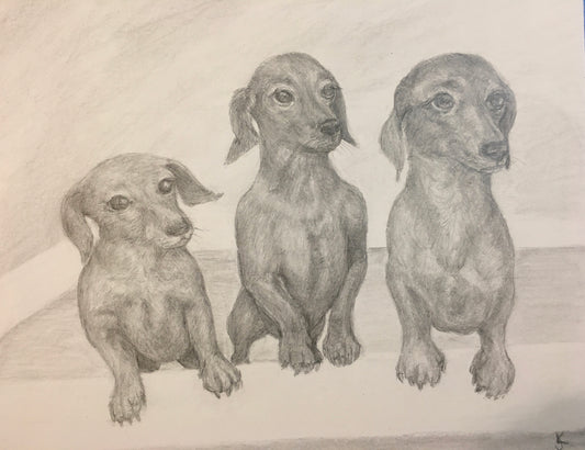 8x10 inch Custom Pet Portrait Pencil Drawing