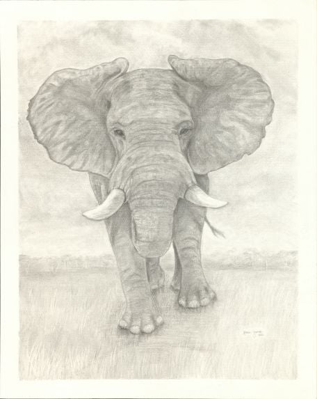 Elephant Print